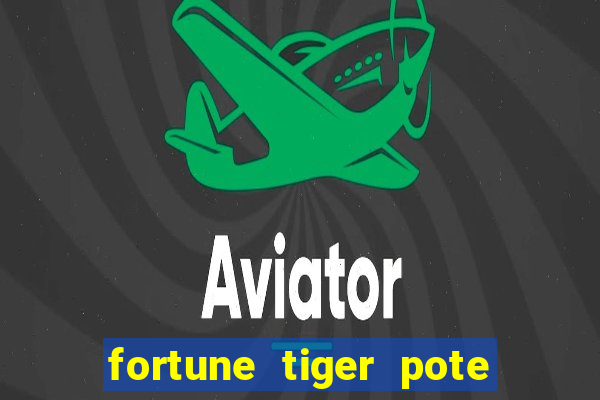 fortune tiger pote de ouro completo